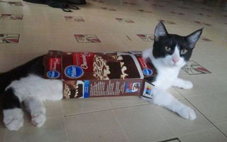 gatedgaf5