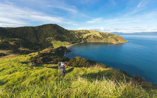 gndlfneewze6 gndlfneewze6