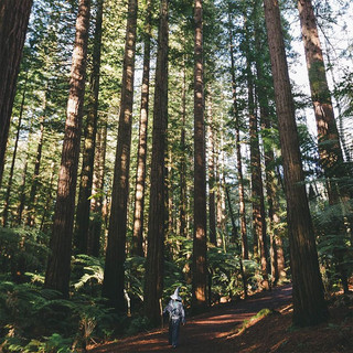 gndlfneewze8 gndlfneewze8