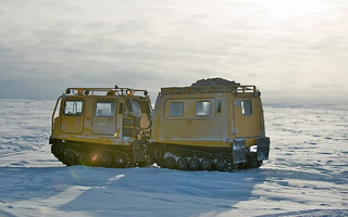nag90212