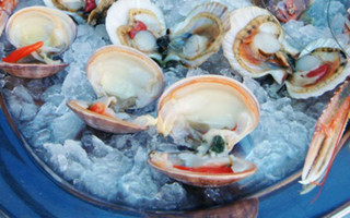 psariston_5_edited