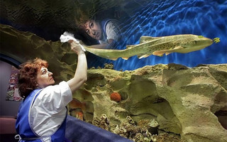 asdoaudta10 asdoaudta10