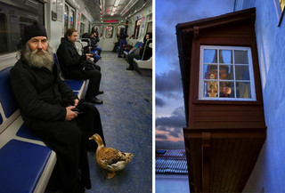 asdoaudta4 asdoaudta4