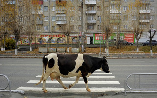 asdoaudta5 asdoaudta5