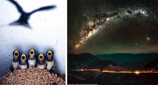 photographyawards10 photographyawards10