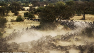photographyawards16 photographyawards16
