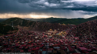 photographyawards4 photographyawards4