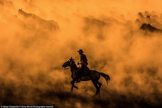 photographyawards8 photographyawards8