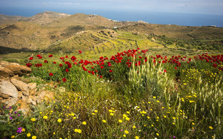 shutterstock_240770278 shutterstock_240770278