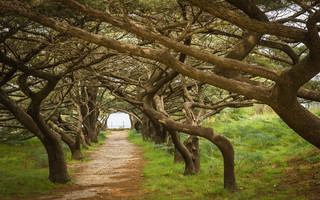 shutterstock_389760532 shutterstock_389760532