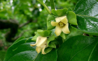 trffyta10a trffyta10a