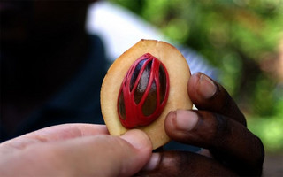 trffyta15b trffyta15b