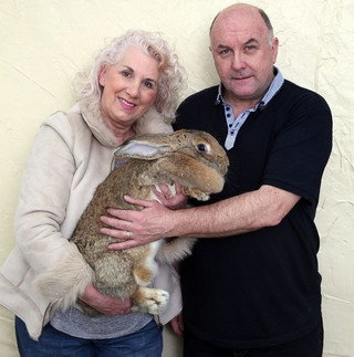 Breeder-Annette-and-Rob-Edwards-holding-Enya