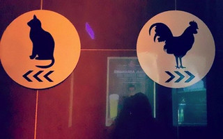 toilet4