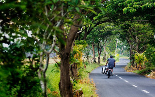 hondadeus7