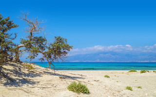 ΓΑΙΔΟΥΡΟΝΗΣΙ