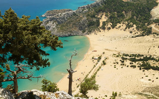 ΤΣΑΜΠΙΚΑ ΡΟΔΟΣ