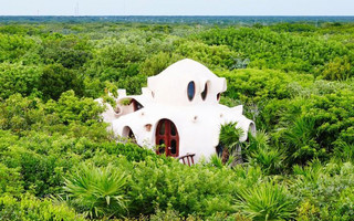 treehouse_papaya_playa_01 treehouse_papaya_playa_01