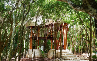 treehouse_papaya_playa_02 treehouse_papaya_playa_02