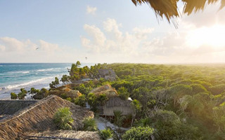 treehouse_papaya_playa_04 treehouse_papaya_playa_04