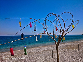 DSC_0163-Ra