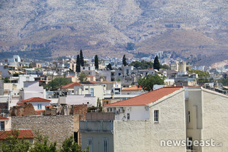 IMG_6872 IMG_6872