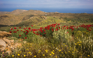 ΚΕΑ ΤΖΙΑ