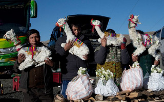 bolivia