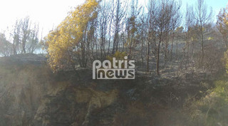 patris2