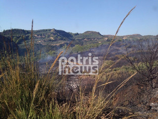 patris9
