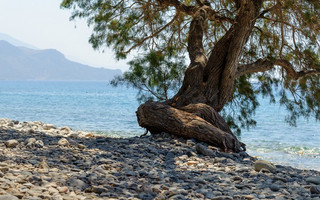 ΠΑΛΑΙΟΧΩΡΑ ΧΑΝΙΑ