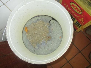Bucket with mouldy potatoes