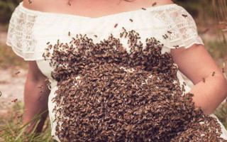 Έγκυος φωτογραφίζεται με 20.000 μέλισσες