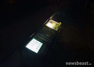 IMG_0916 IMG_0916