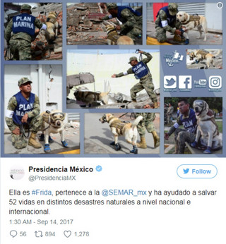 mexico11