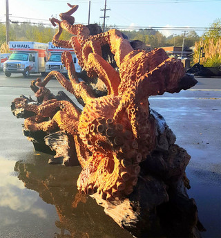 saot;ireoitb3 saot;ireoitb3