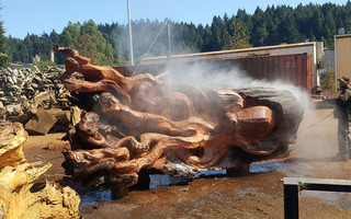 saot;ireoitb7 saot;ireoitb7