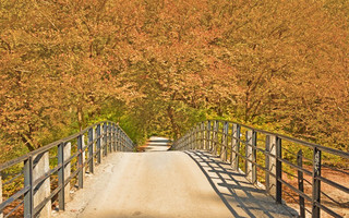 shutterstock225548578 shutterstock225548578