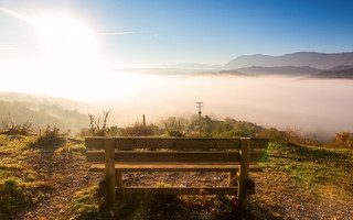 shutterstock341148818 shutterstock341148818