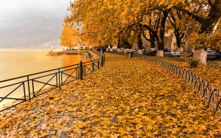 shutterstock510652756 shutterstock510652756