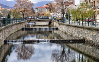 ΦΛΩΡΙΝΑ ΝΥΜΦΑΙΟ