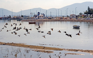 ΝΕΑ ΑΡΤΑΚΗ