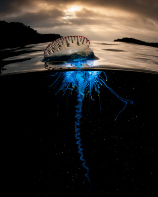 COSMOTETVBBCEarthBluePlanet5