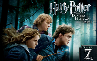 Harry-Potter_2010_1
