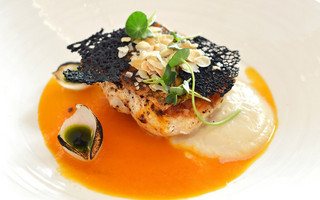 grg-Grouper-fillet-with-cauliflower-puree