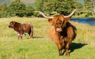 ΠΕΡΘΣΑΙΡ ΣΚΩΤΙΑ PERTHSHIRE
