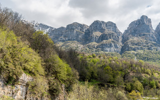 ΑΣΤΡΑΚΑ