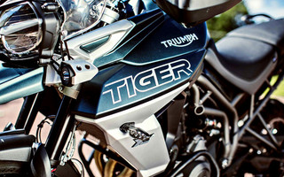 TriumphTiger14