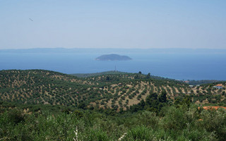 ΠΑΡΘΕΝΩΝΑΣ ΧΑΛΚΙΔΙΚΗ