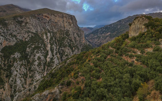 ΡΙΝΤΟΜΟ